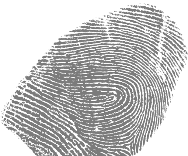 TKKG Internetseite - Fingerprint